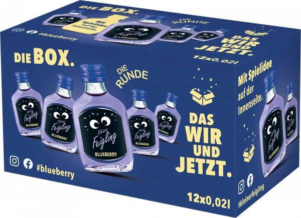 Kleiner Feigling Blueberry Alk.15vol.% 12x0,02l